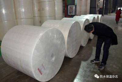 華東首條寬幅長絲聚酯胎生產(chǎn)線落戶&ldquo;布實(shí)&rdquo;