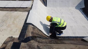 只知道自粘膠膜和聚酯胎 殊不知s clf才是預(yù)鋪反粘的完成形態(tài)