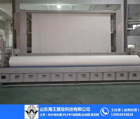 天津長絲聚酯胎 長絲聚酯胎廠 山東海王 推薦商家